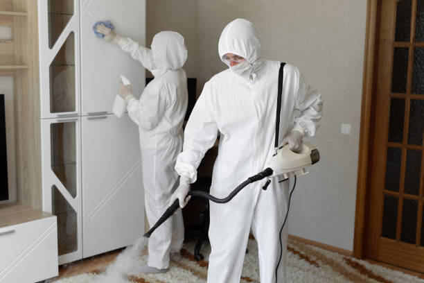 Best Crawl Space Mold Removal  in Platte, SD
