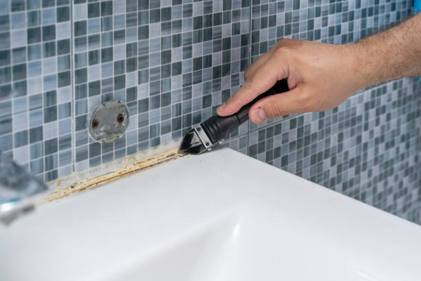 Best Certified Mold Removal  in Platte, SD