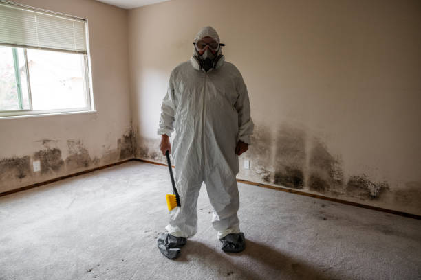 Best Mold Removal Process  in Platte, SD